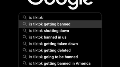 List of countries that issued tiktok ban due to data security concerns and benefits