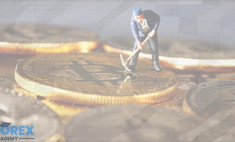 Cryptocurrency mining profitability profit calculator maximize