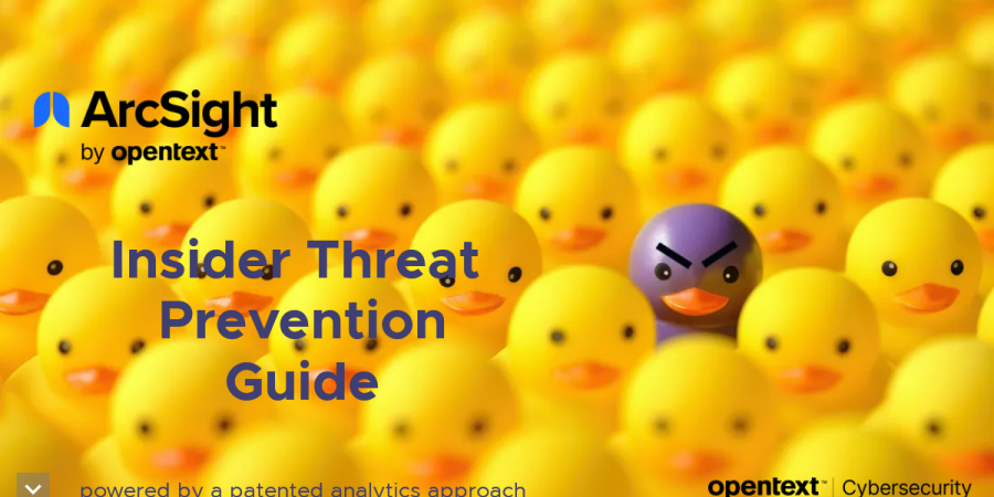 Insider threat and mitigation best practices