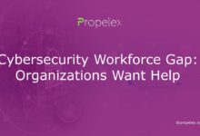 Is it the solution to filling cybersecurity workforce gap 2