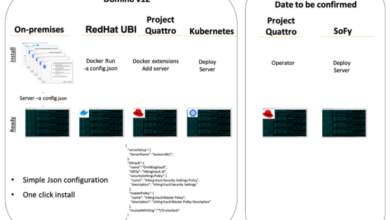 Licensing update domino v12 and key ccx enhancement