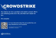 Black friday for it crowdstrike and microsoft windows outage