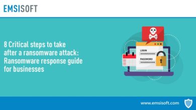 How to survive a ransomware attack