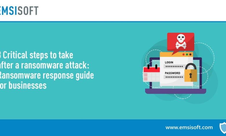 How to survive a ransomware attack