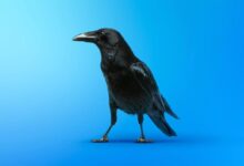 Four steps to improving your organizations cyber resilience