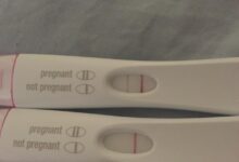 How to avoid wasting time on false positives 2