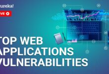 Investigating the top 10 application vulnerabilities