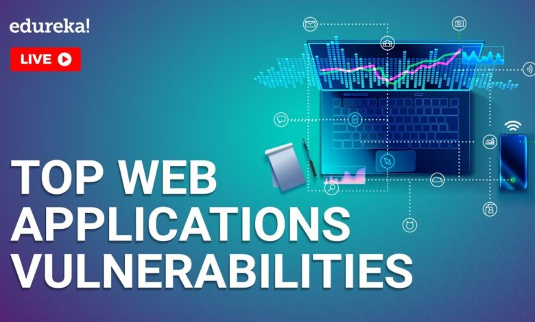 Investigating the top 10 application vulnerabilities