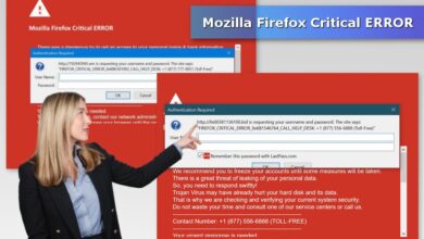 Firefox 49 patches critical high severity vulnerabilities 2