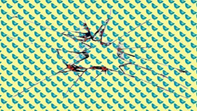 Irish data watchdog starts an investigation on twitters data breach concerns