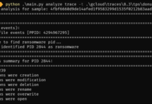 Enhancing ransomware defense through micro segmentation of networks