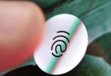 Google offers adiantum mobile security to entry level android smartphones