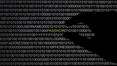 Great british firewall blocks 54 million cyber attacks and news about lauri love