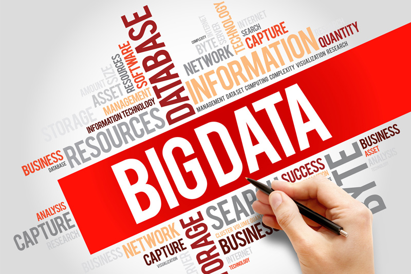 Trends education data big 2021 shutterstock influencing rawpixel photographer